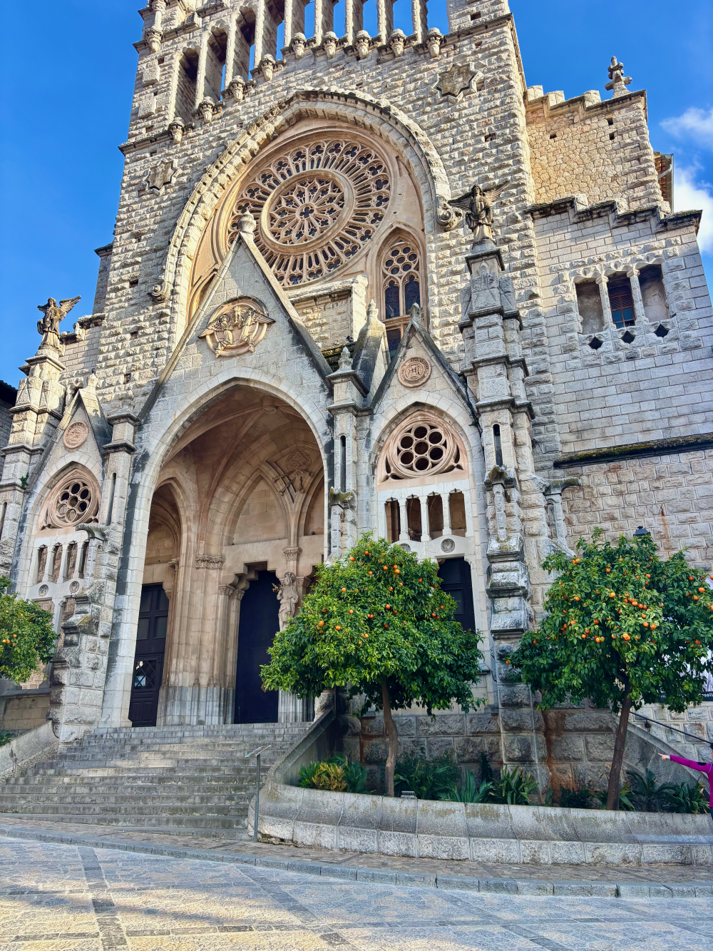 Orange trees in front of the main church in Sóller