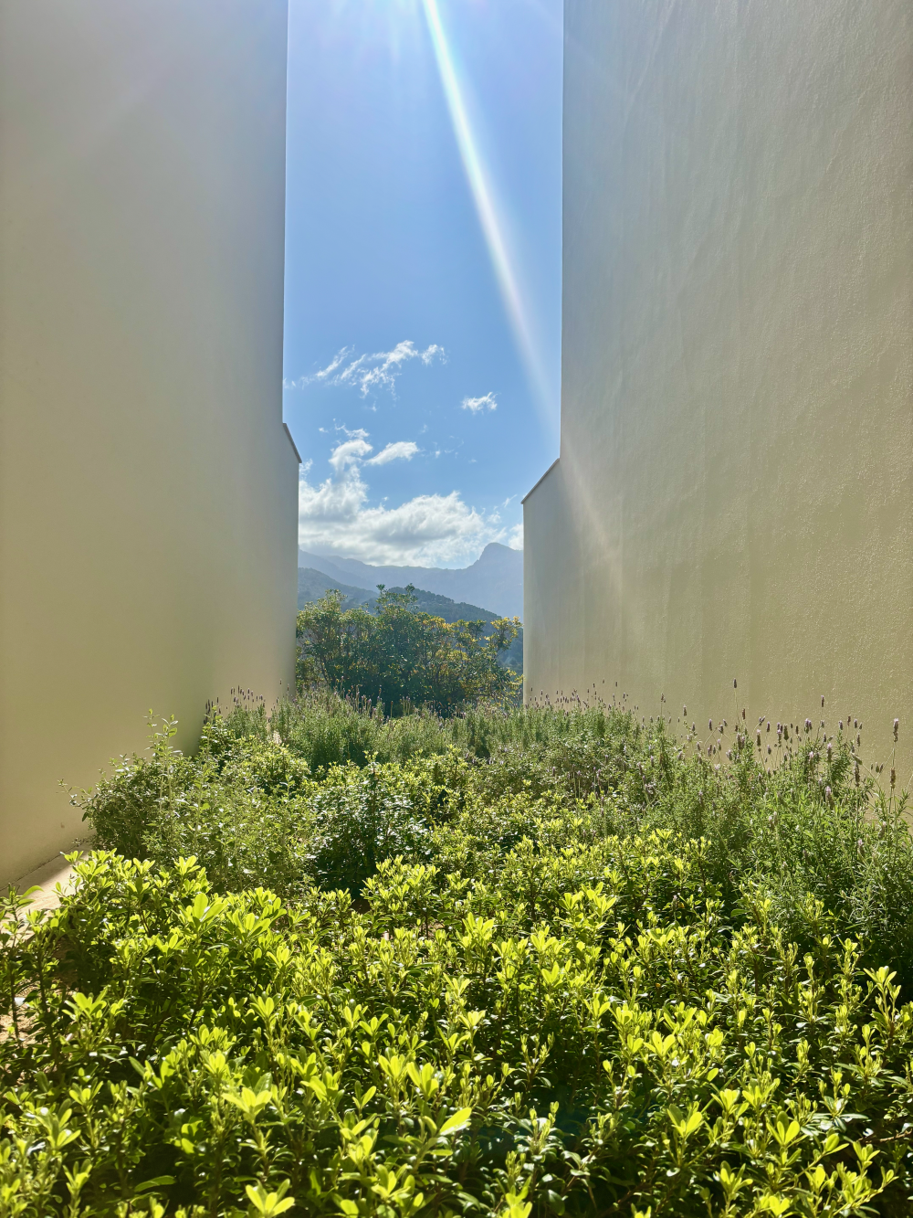 Holidays to Mallorca