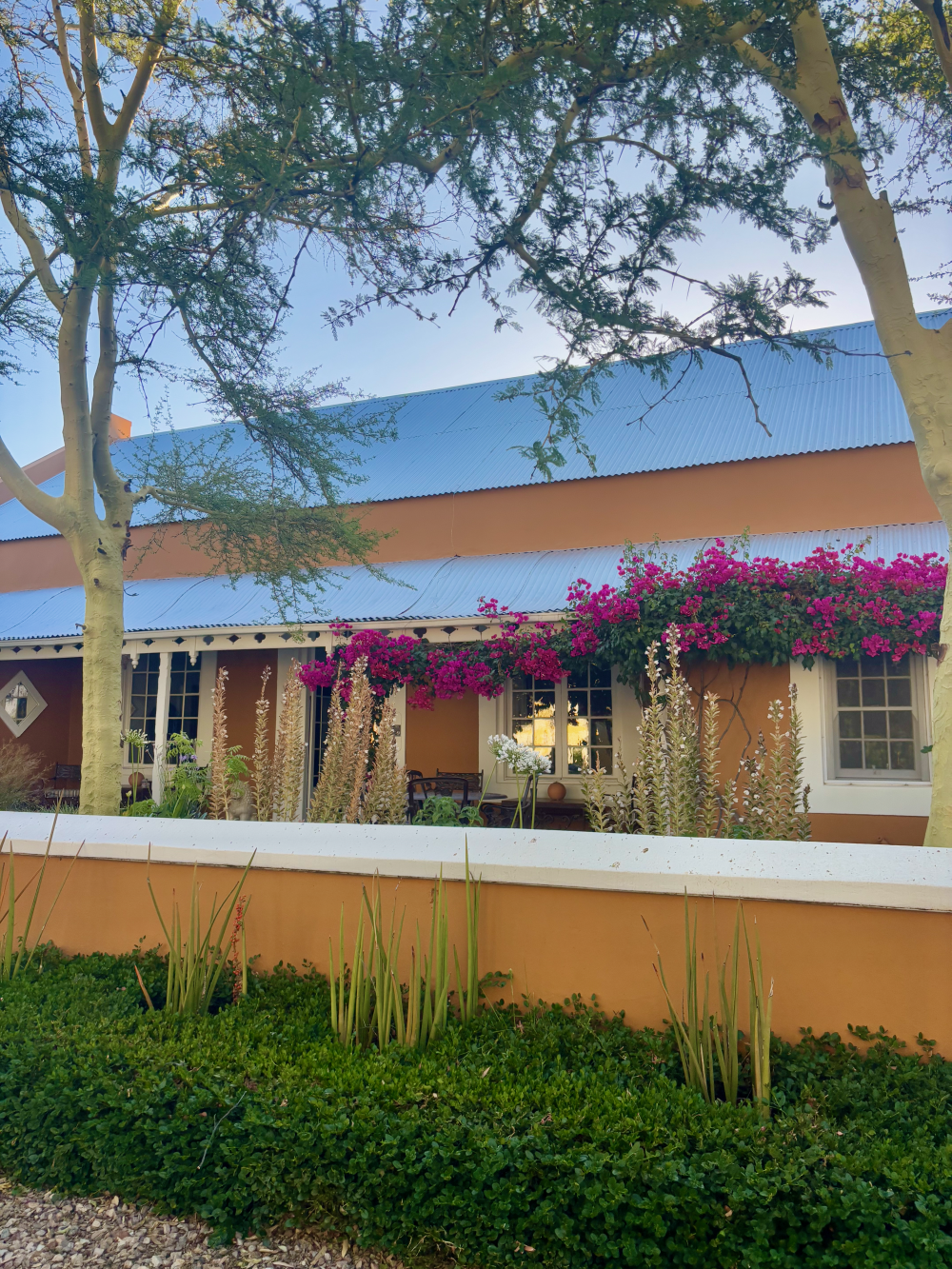 Prince Albert Guide, South Africa