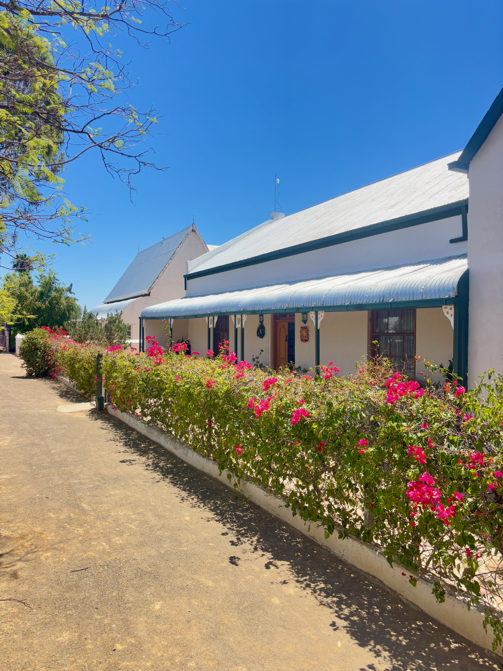 Charming accommodation in Prince Albert, South Africa