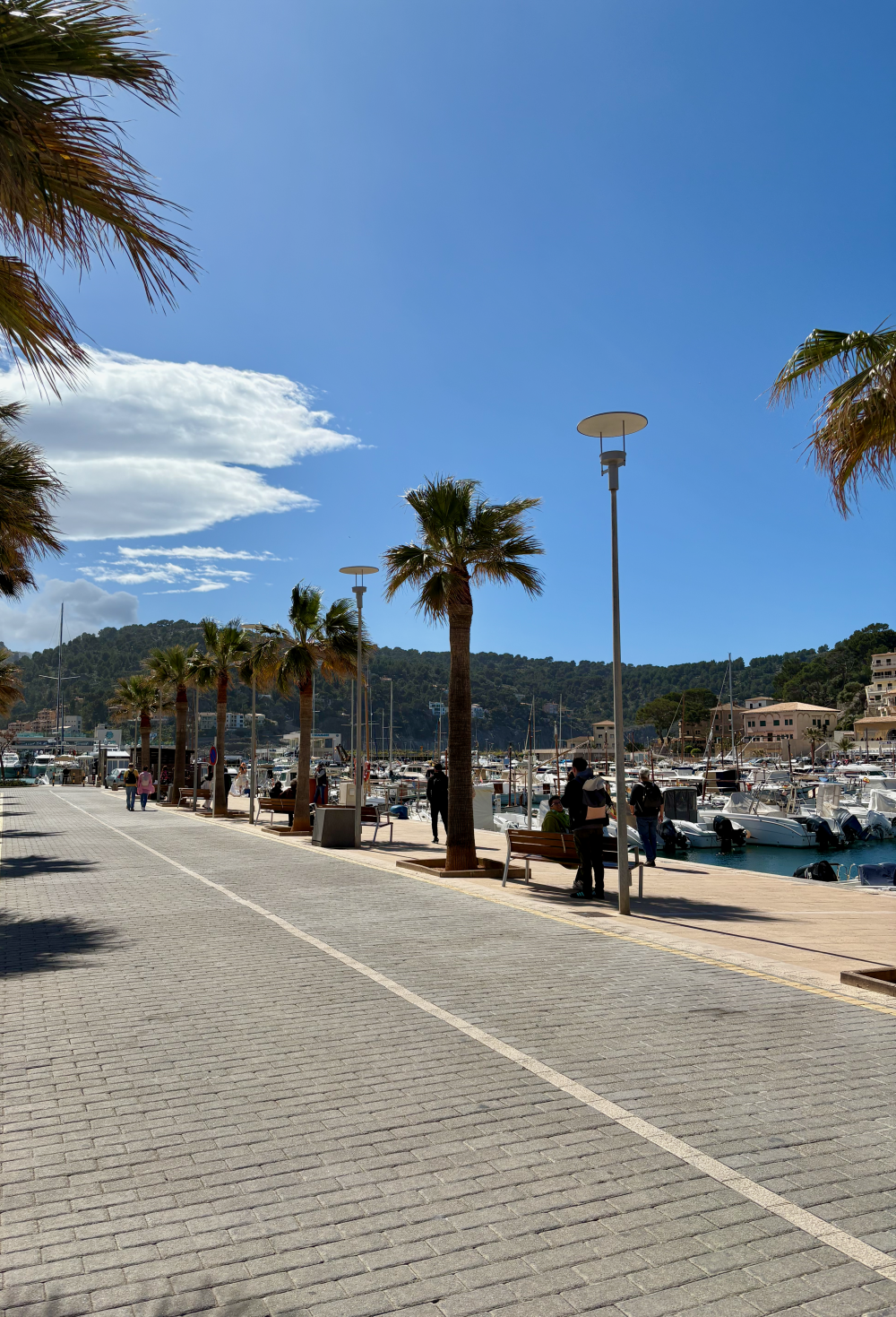 The harbour in Port de Sóller