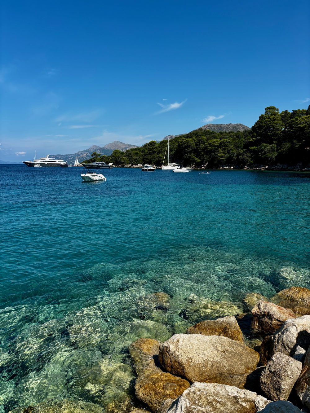 Enjoying the gorgeous waters surrounding Kolocep Island