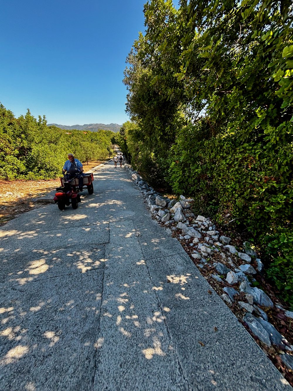 One of little tractors going across the island, as Kolocep is a car-free island