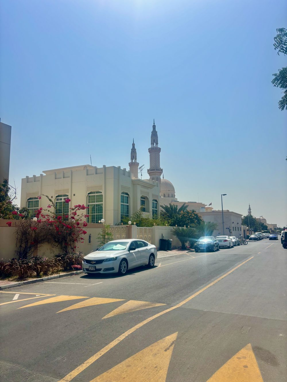 Residential areas in Umm Seqeim