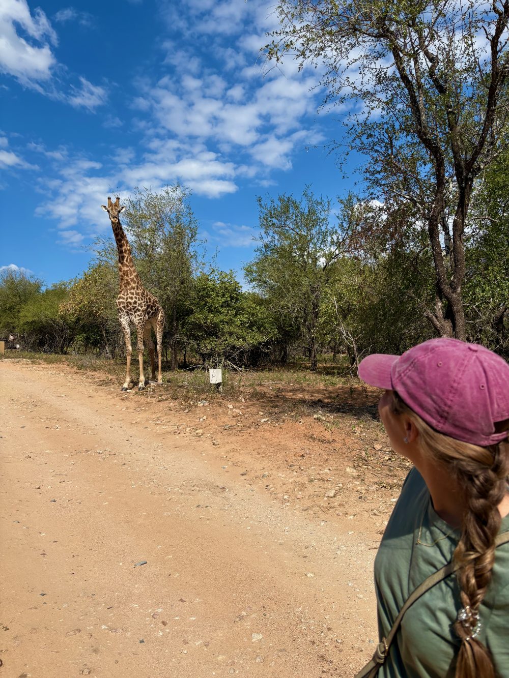 Meeting a local giraffe just outside Needles Lodge