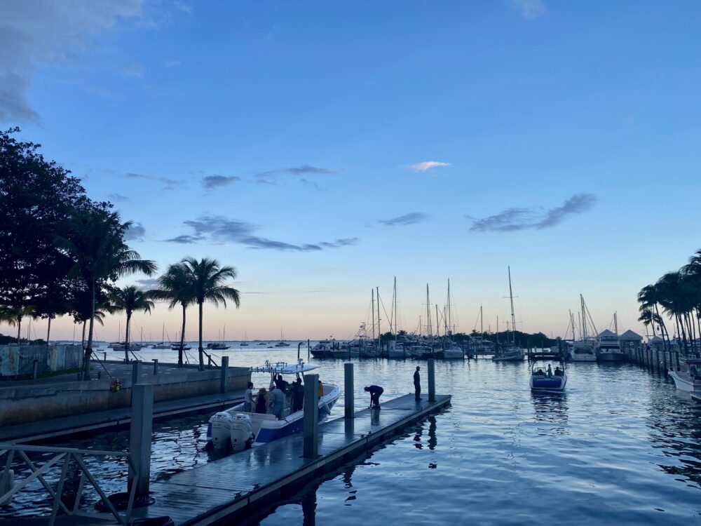 Coconut Grove in Miami