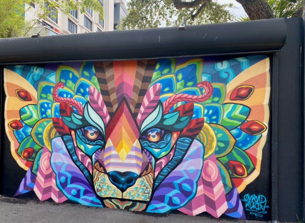 Murals in Wynwood, Miami