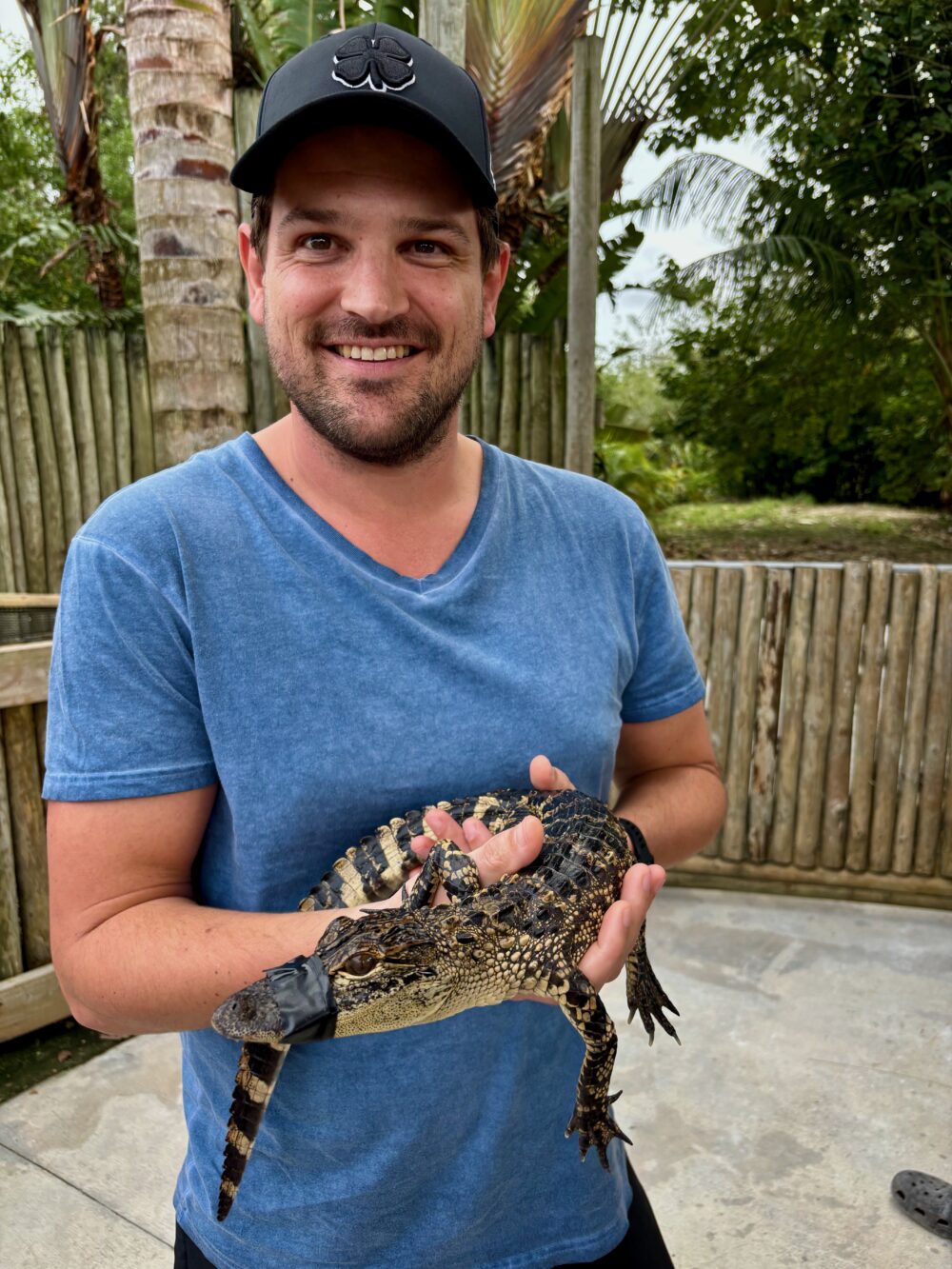 Holding an alligator at the Everglades Alligator Farm