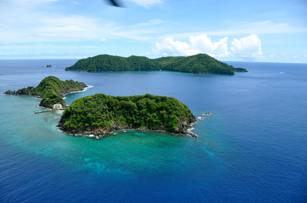 Aerial View of Goat Island and Little Tobago
