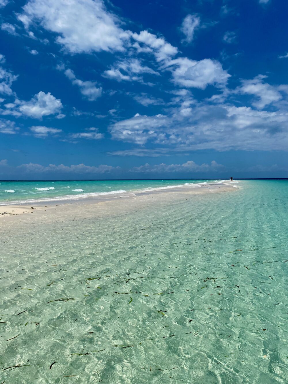 when to visit Zanzibar