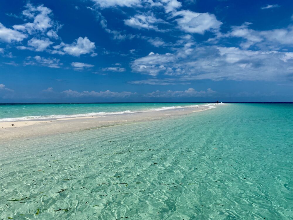 Zanzibar island guide