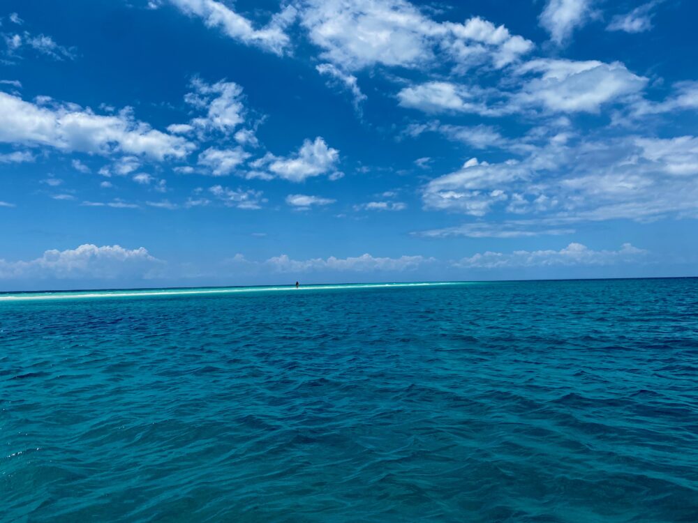 Day trips from Stone Town in Zanzibar