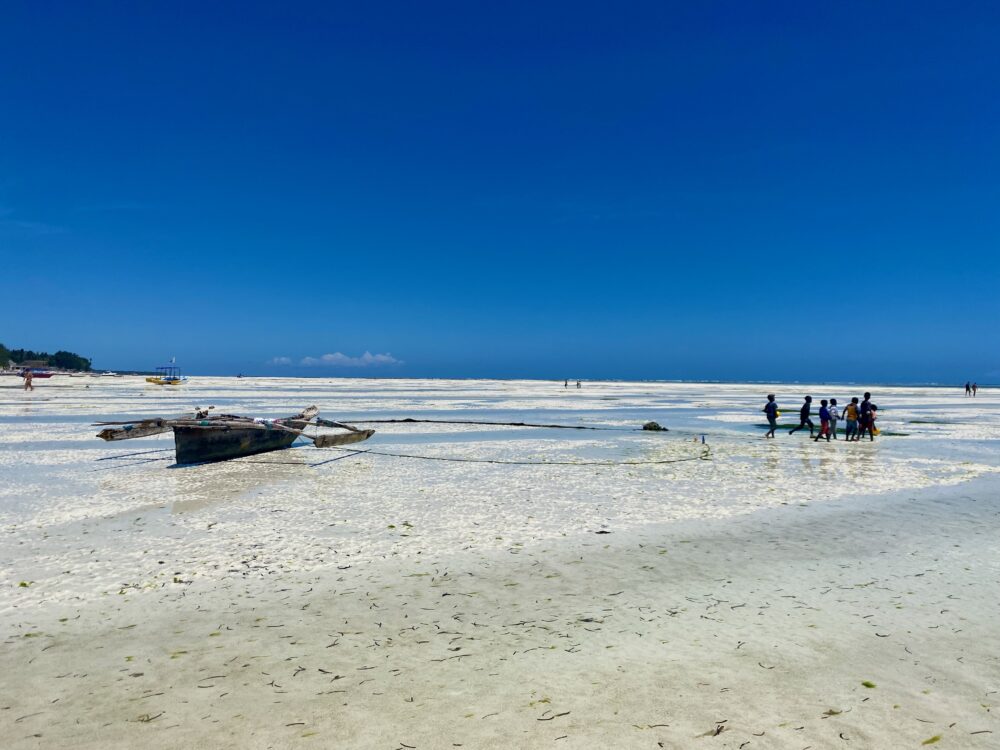Is Zanzibar worth visiting 