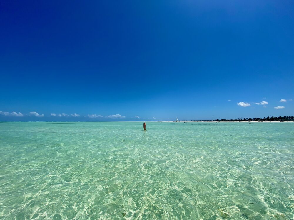 What to do in Zanzibar