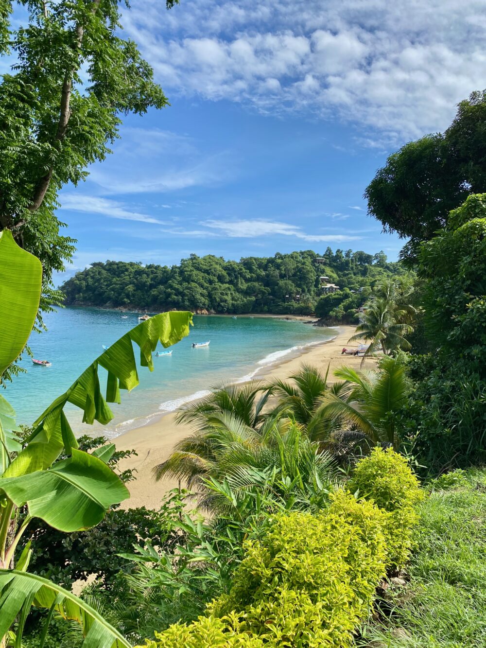 Castara Retreats in Tobago