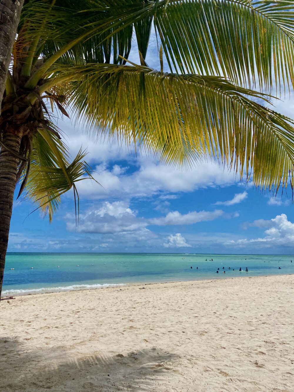 Beaches in Tobago