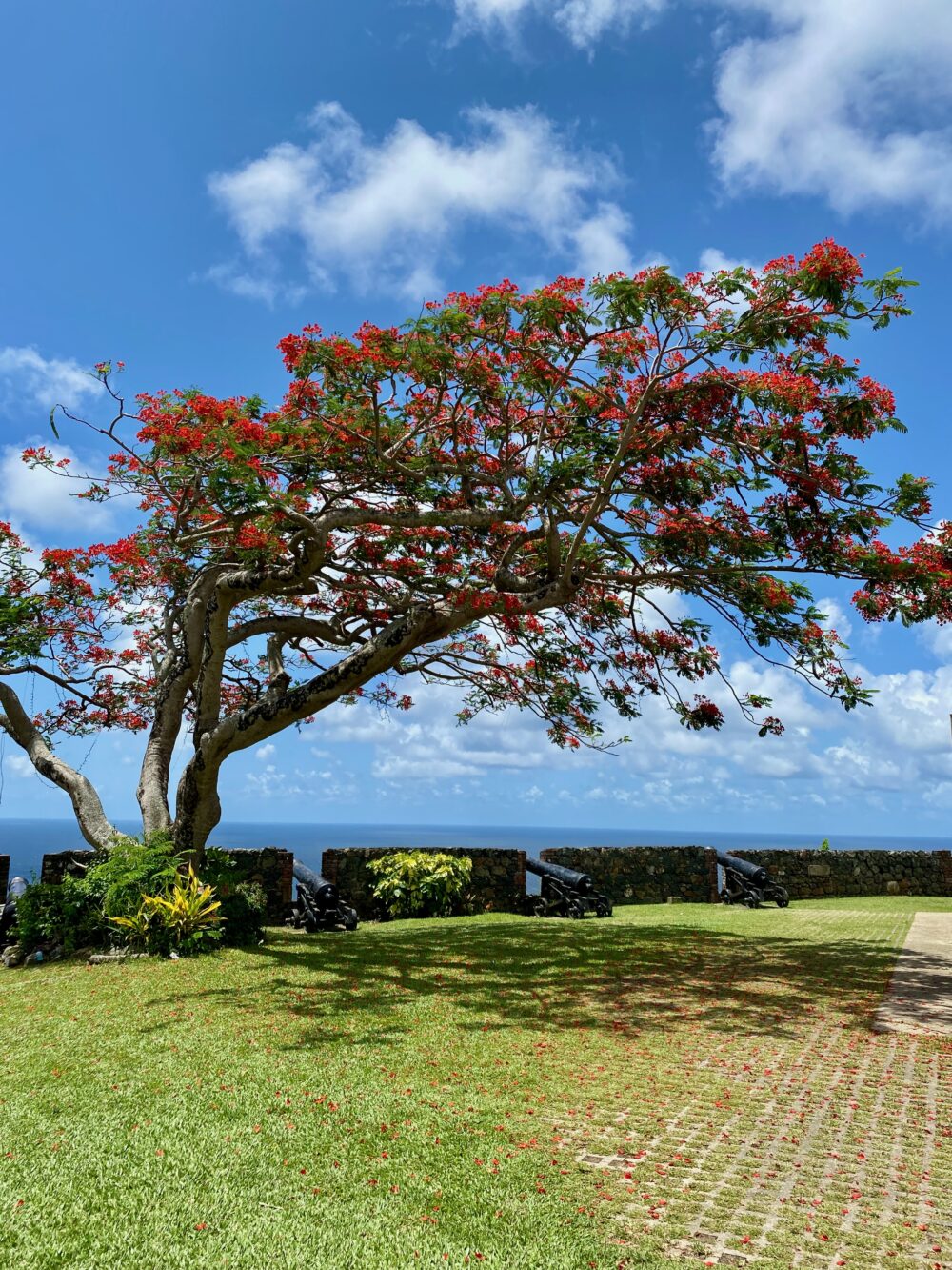 Historical attractions in Tobago