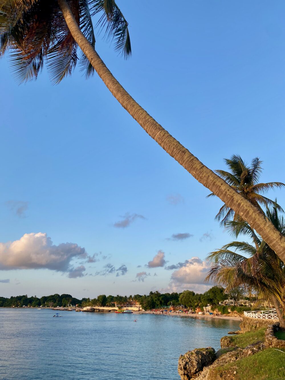 Tobago island guide
