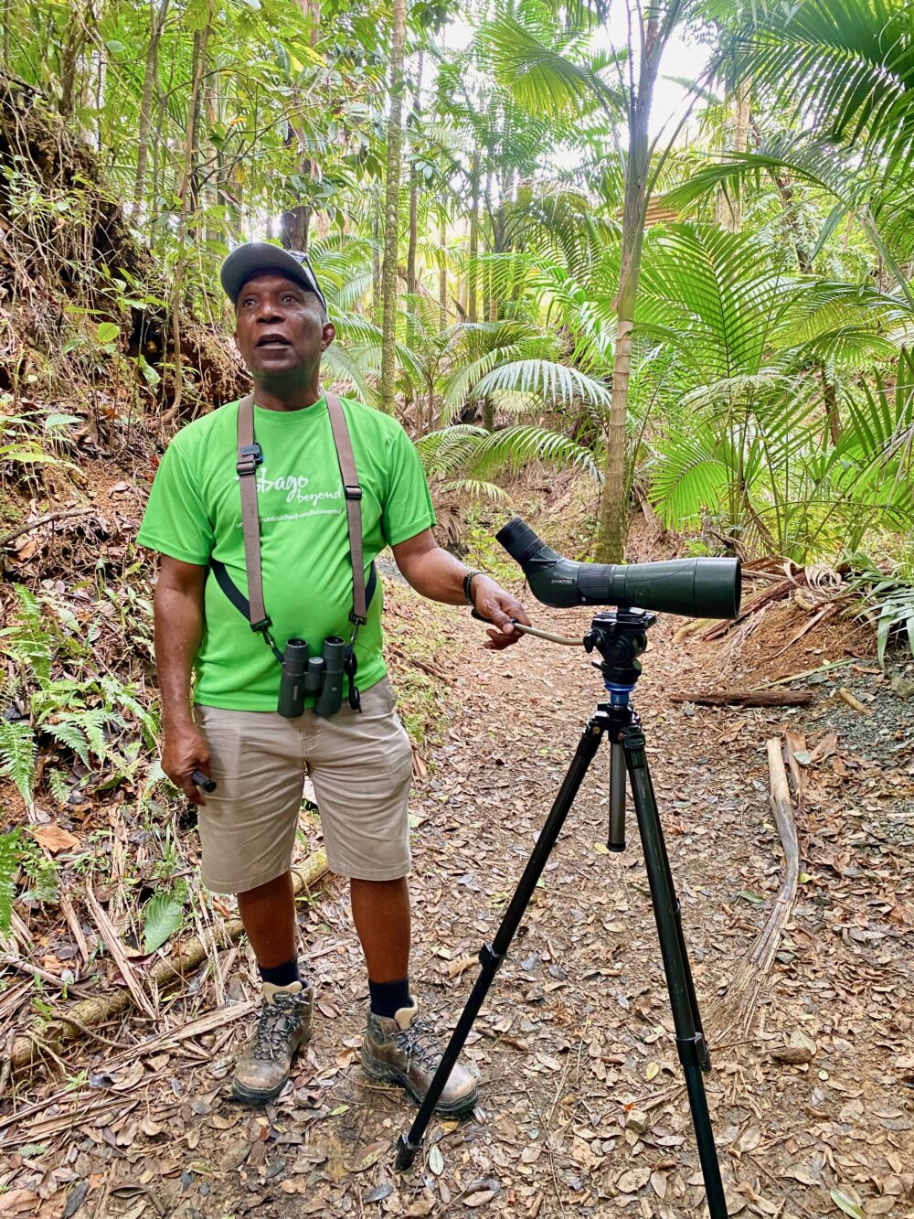 Birdwatching in Tobago