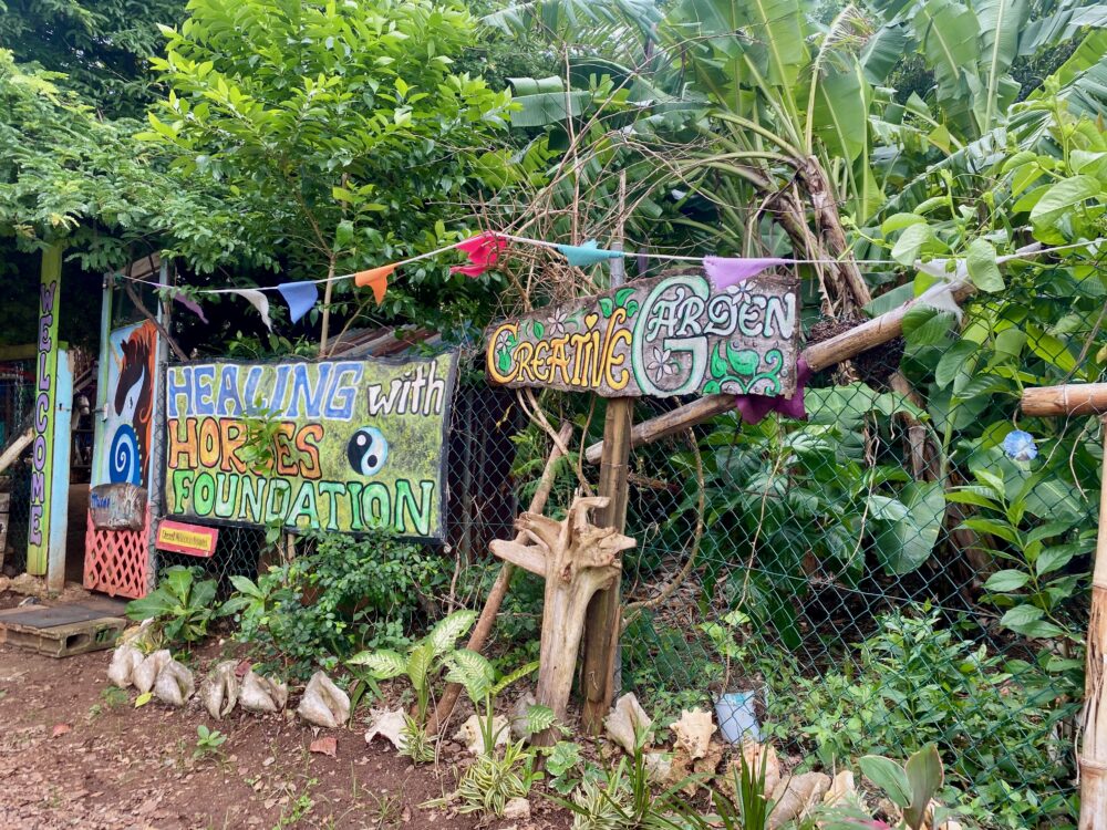 Healing with horses in Tobago
