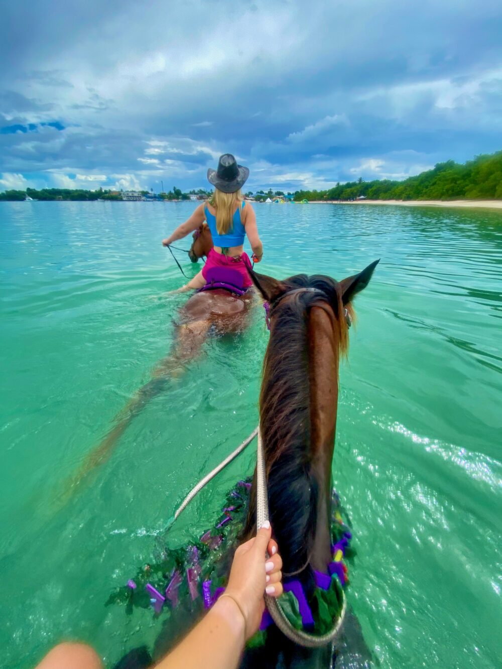 Healing with horses in Tobago
