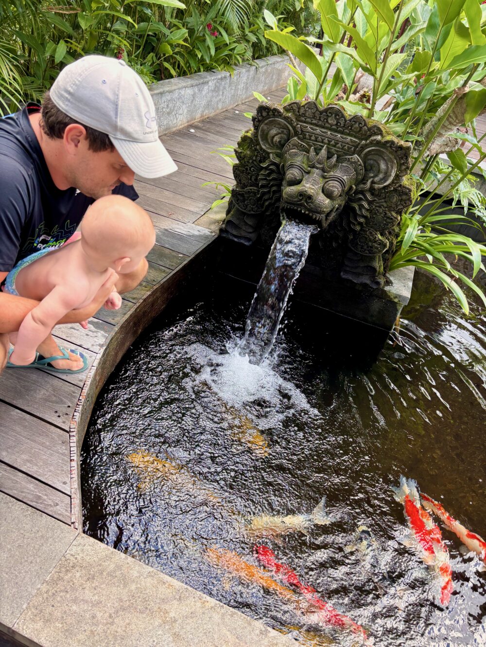 enjoying the koi ponds around the hotel