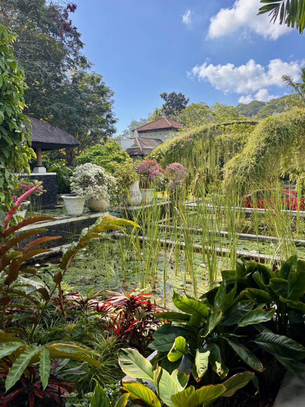 setting at the Intercontinental Bali