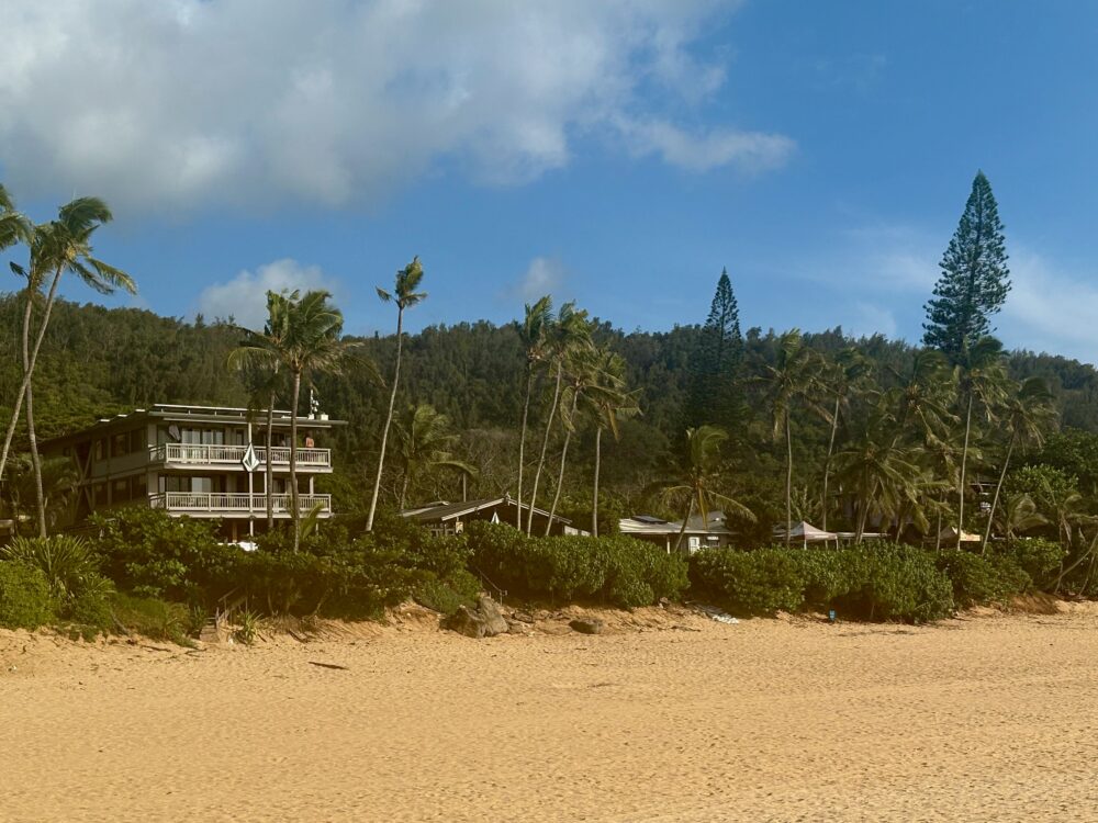 Surf houses in the North Shore