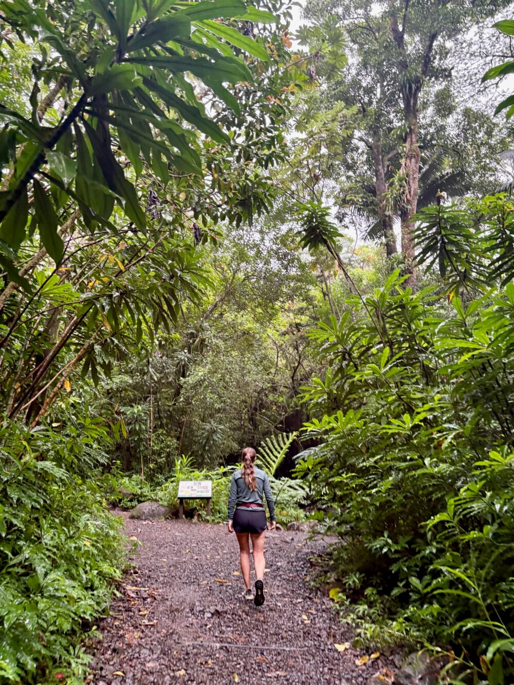 Manoa Falls in Oahu
