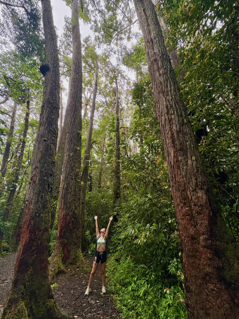 Hiking in Manoa Falls