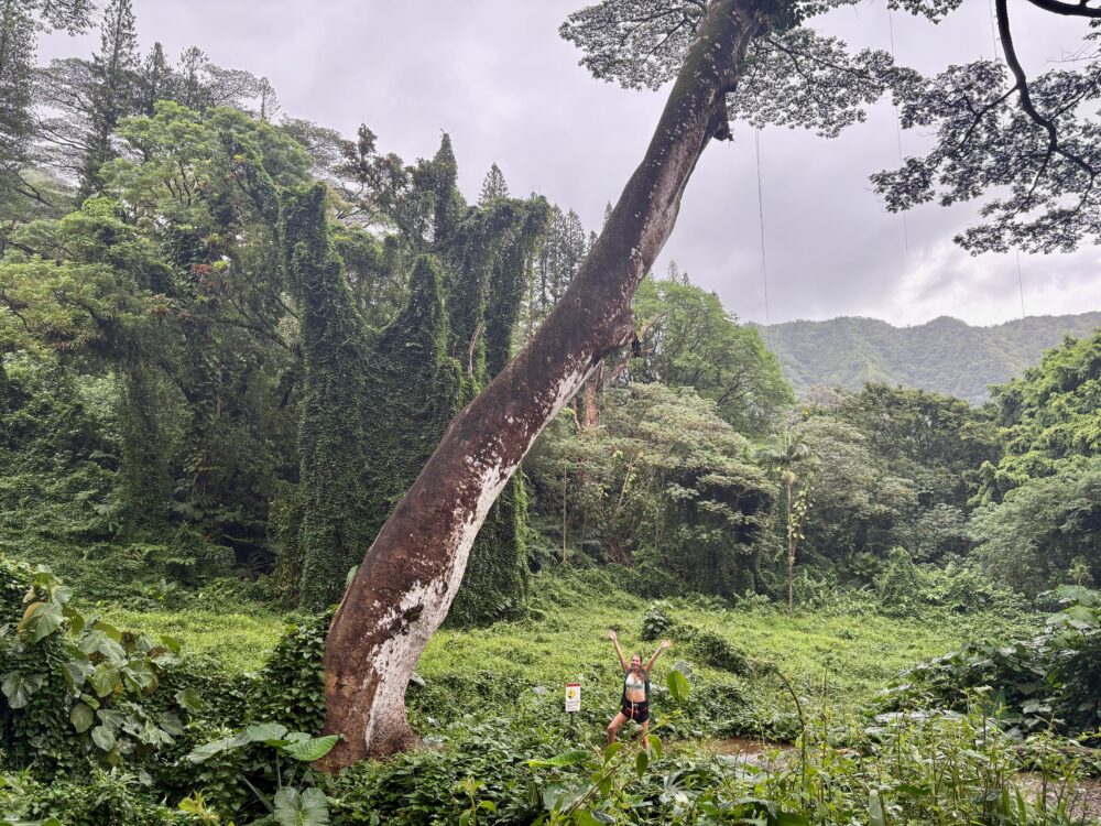 Hiking in Manoa Falls, one of the best hikes on Oahu