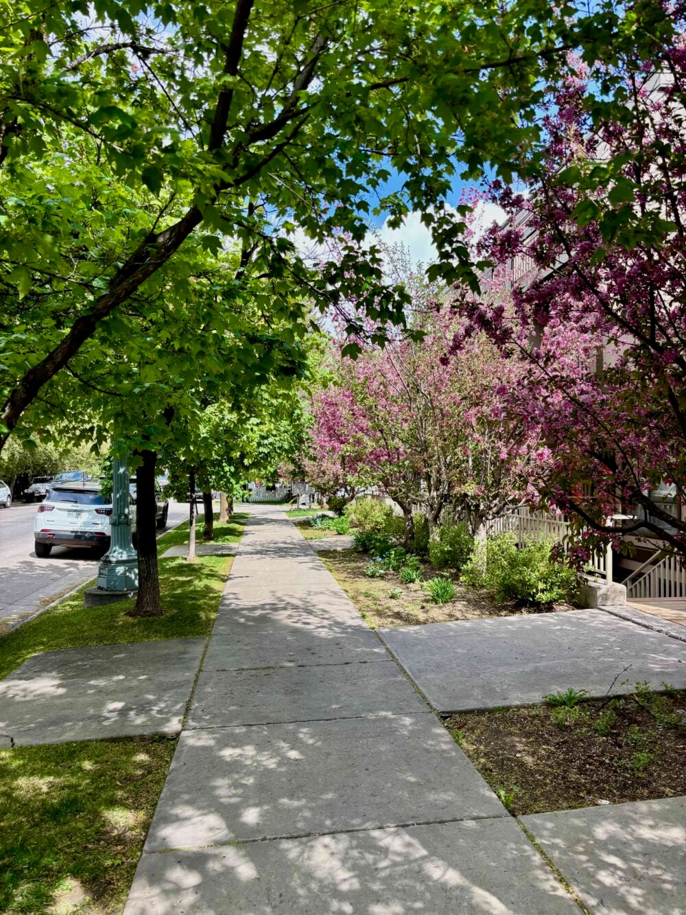 Spring time in Aspen