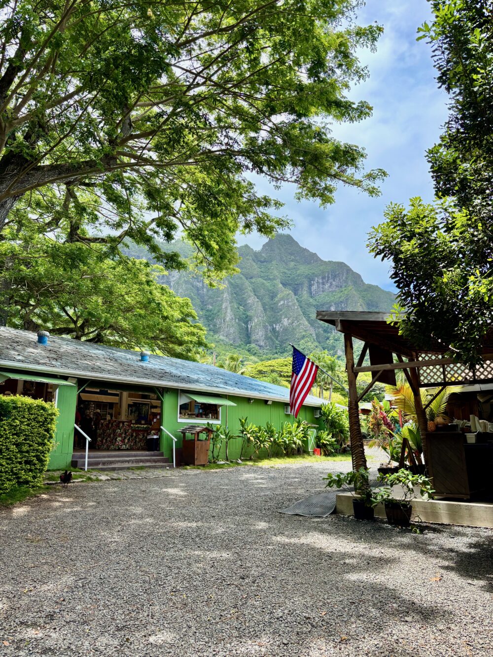 Macademia Farm in Oahu