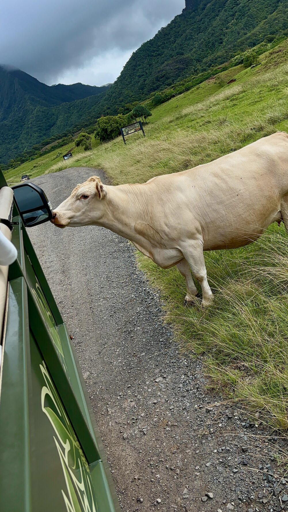 Best things to do in Oahu