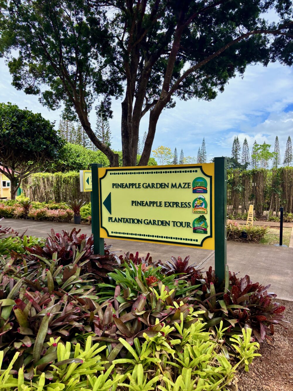 Visiting the Dole Plantation in Oahu