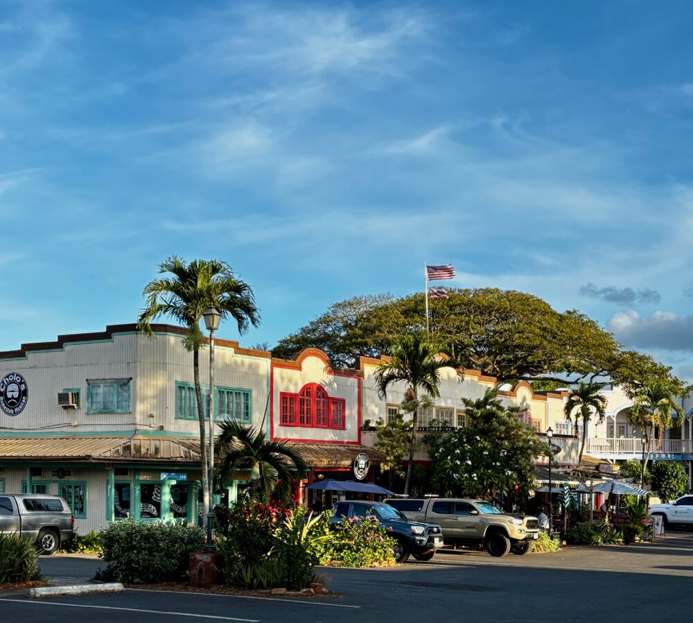 The North Shore Marketplace
