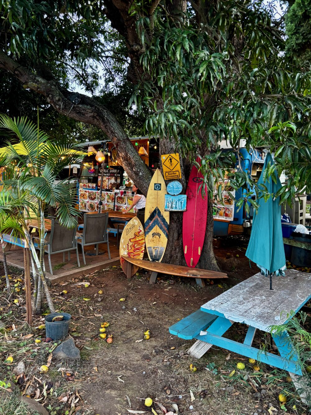 Shops in the North Shore