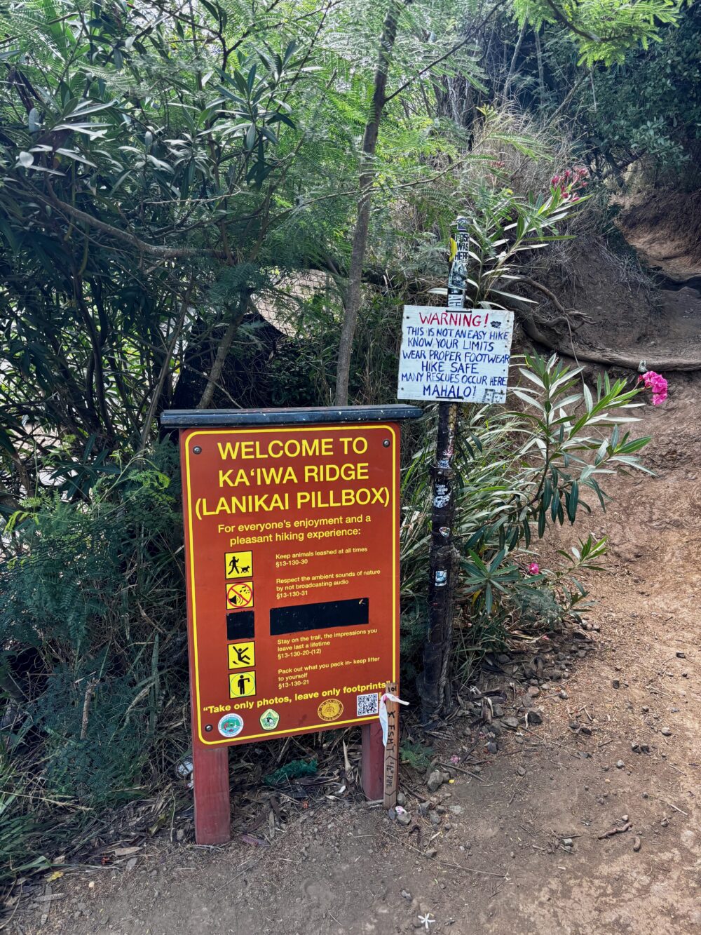 The entry to Lanakai Pillbox, one of the best hikes on Oahu