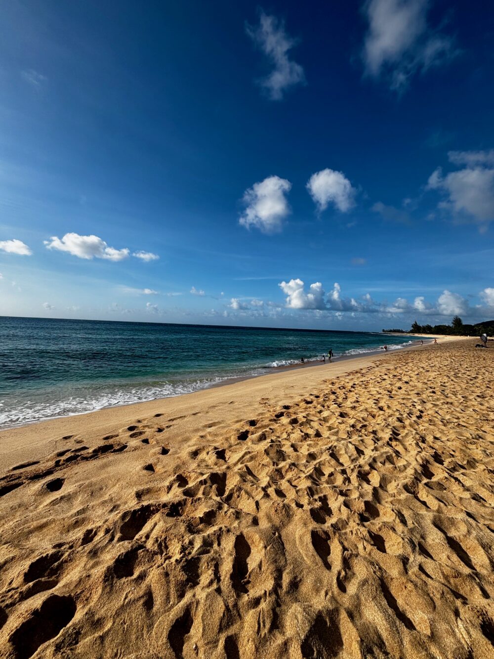 Banzai Pipeline in the North Shore