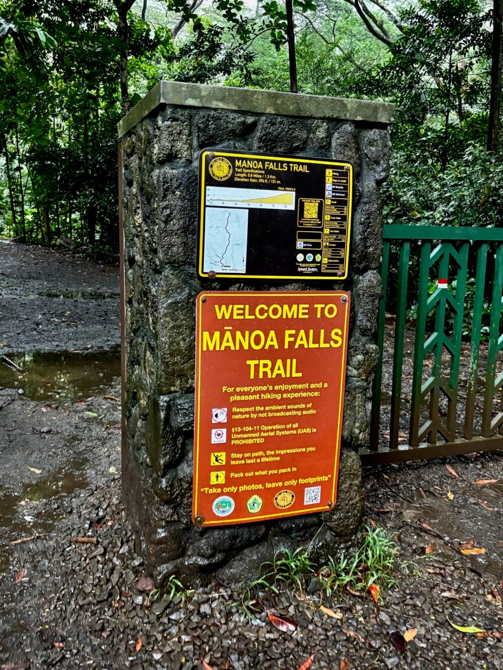 The entry to Manoa Falls, one of the best hikes on Oahu