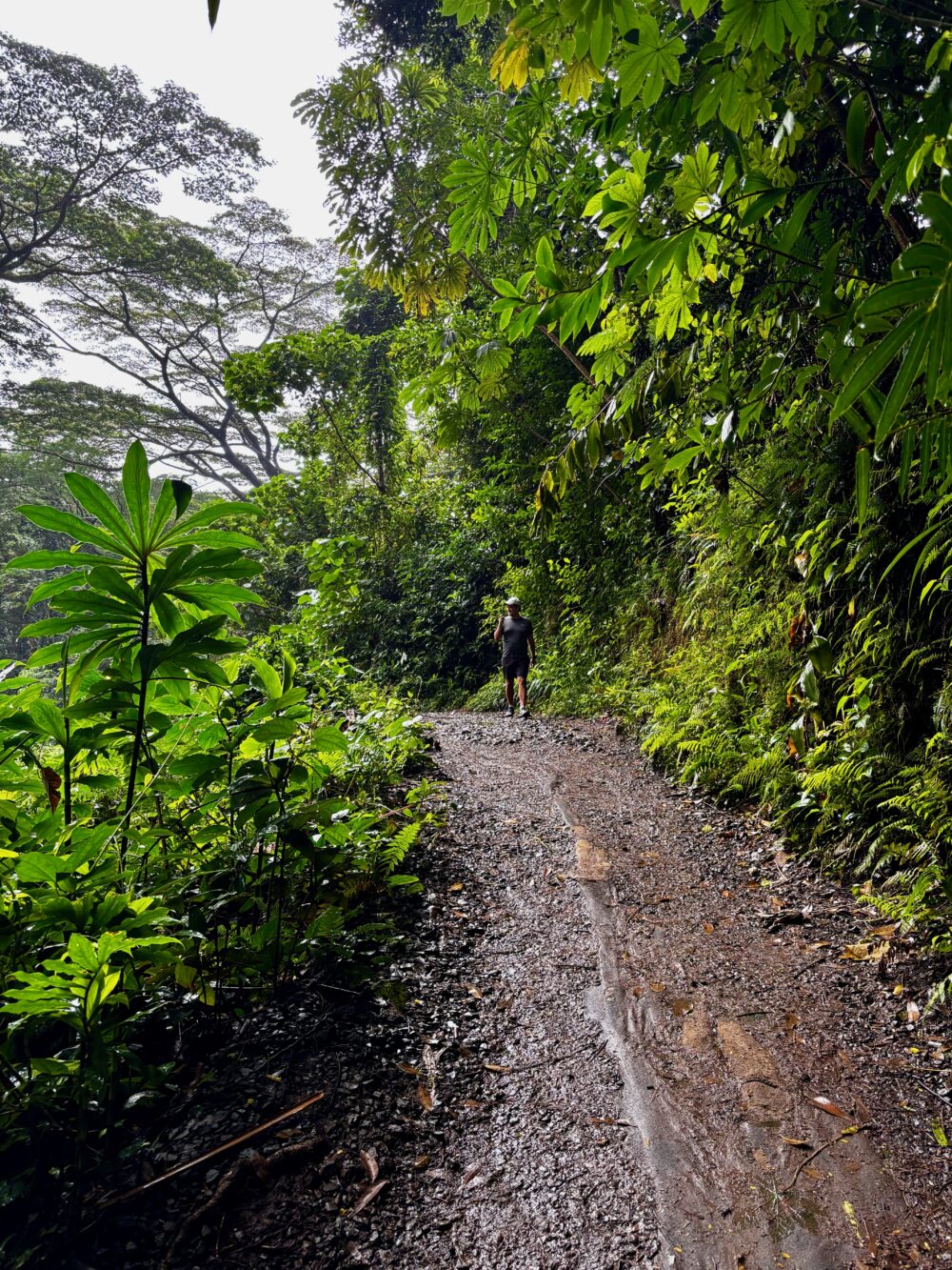 Hiking in Oahu