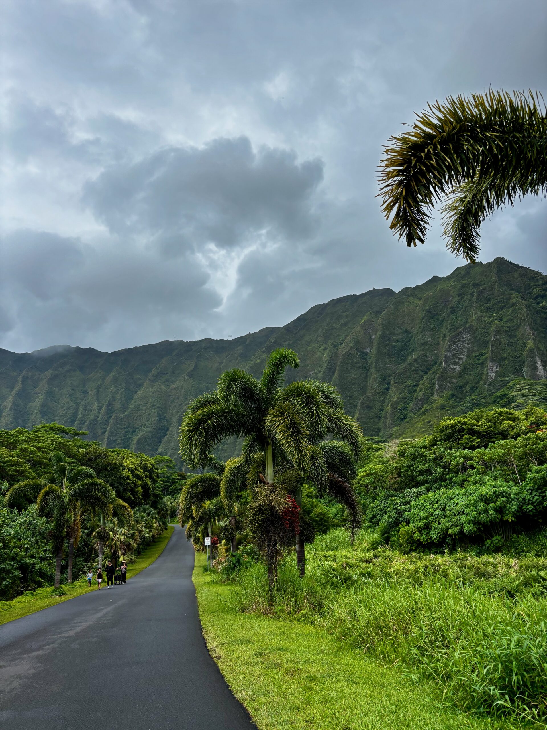 Ho'omaluhia Botanical Garden