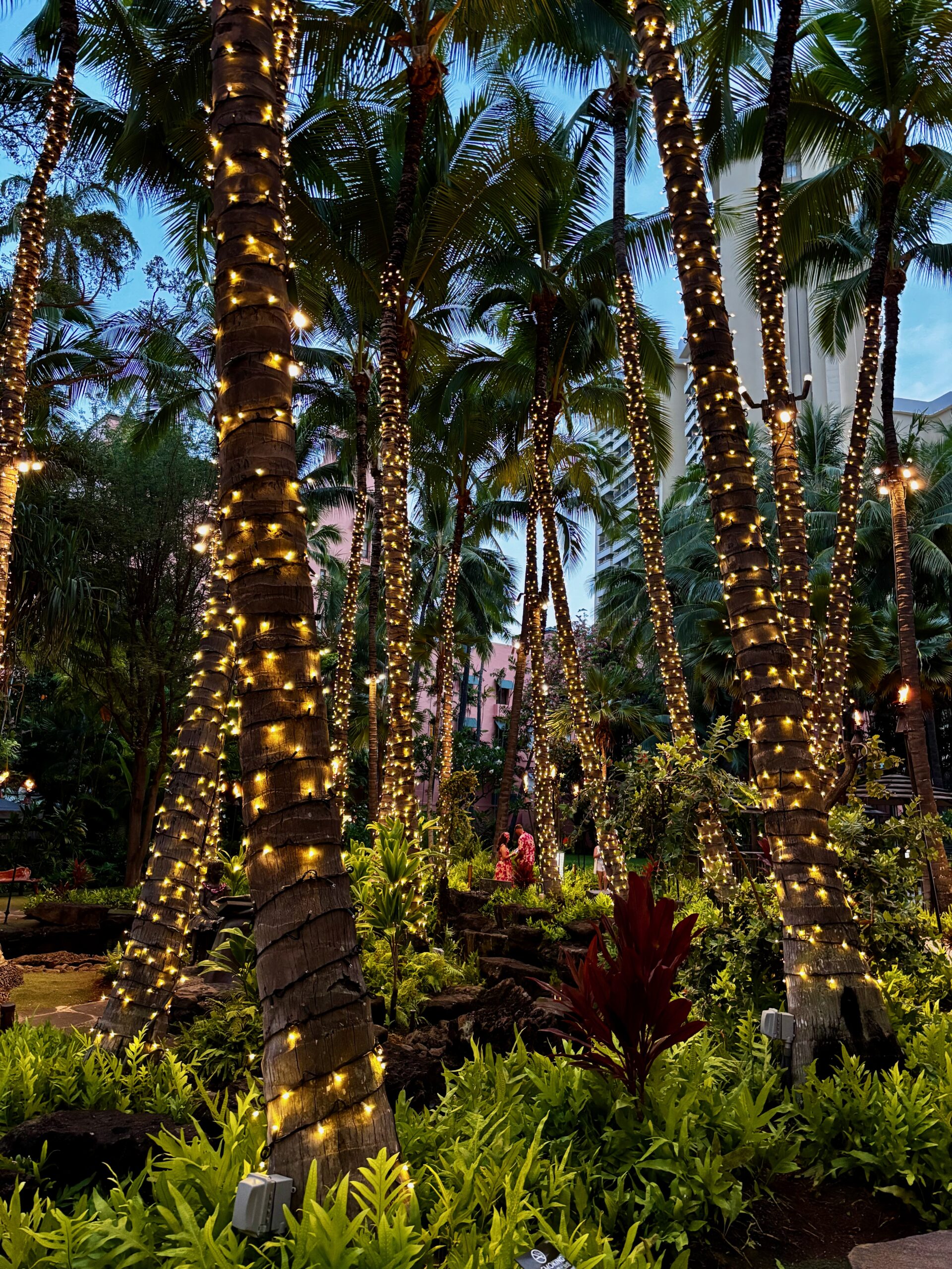 Waikiki Beach