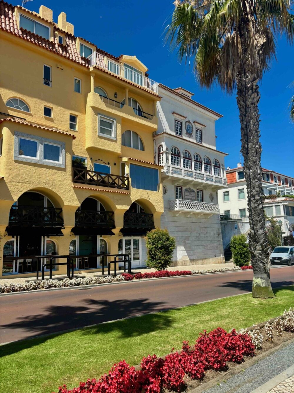 Yellow buildings and palm trees on a sunny day in Cascais, near Lisbon
